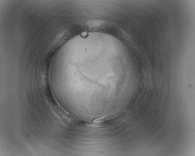 X0000082170698200702021727