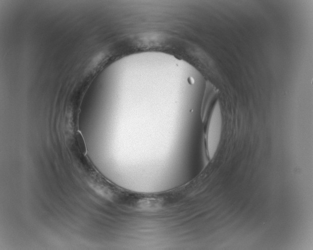 X0000082170700200702021727