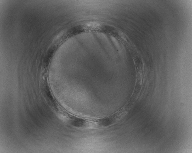 X0000082170701200702021727