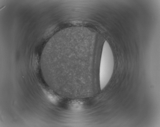 X0000082170702200702021727