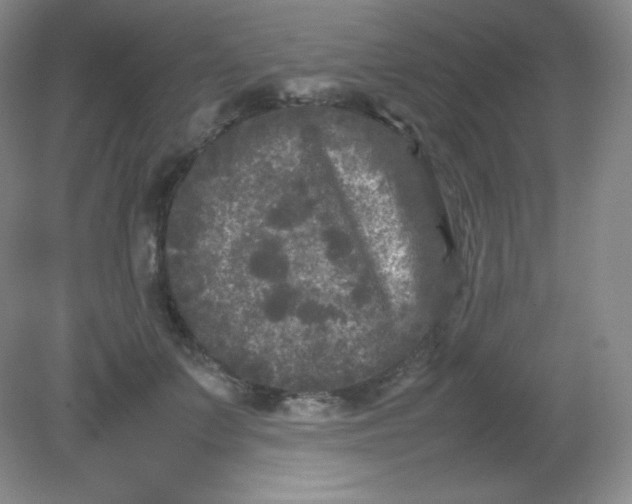 X0000082170703200702021727