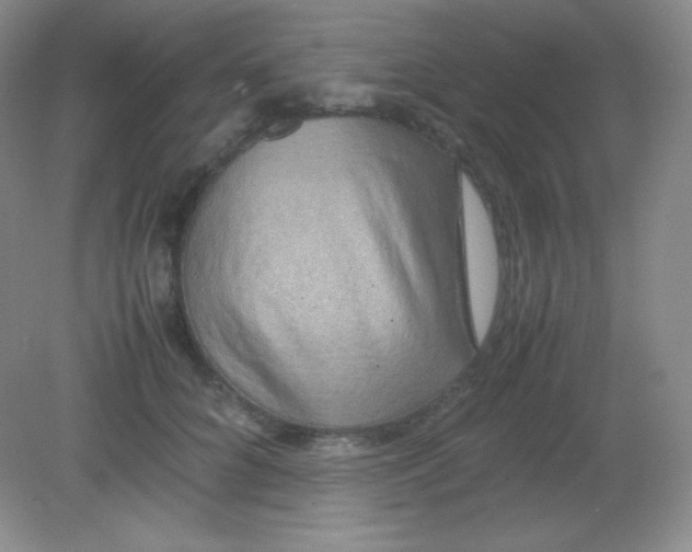 X0000082170704200702021727