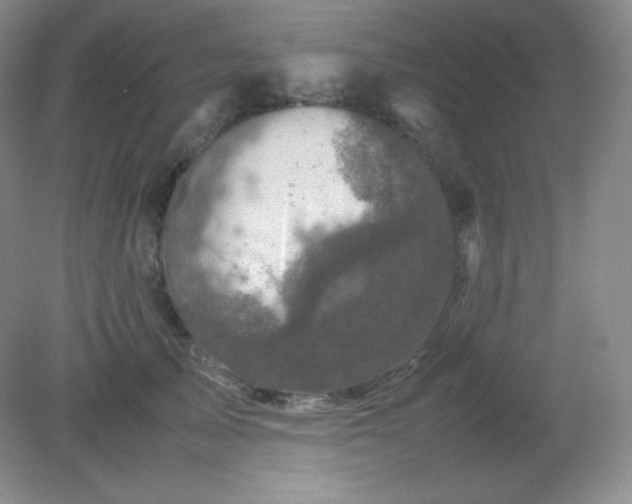 X0000082170705200702021727