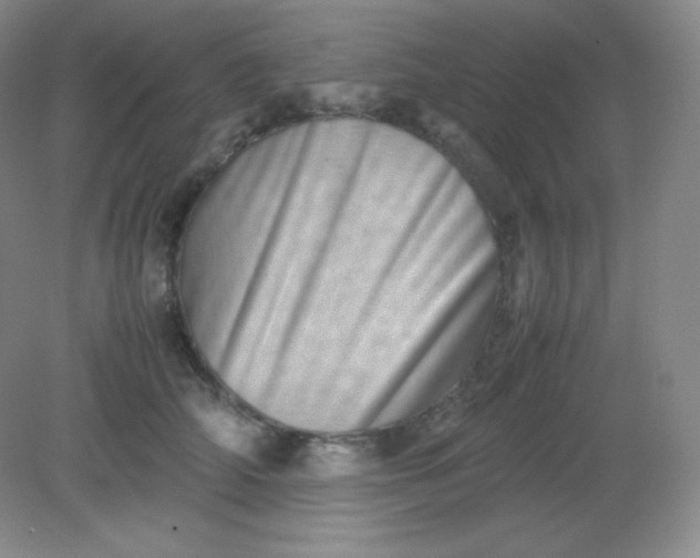 X0000082170706200702021727