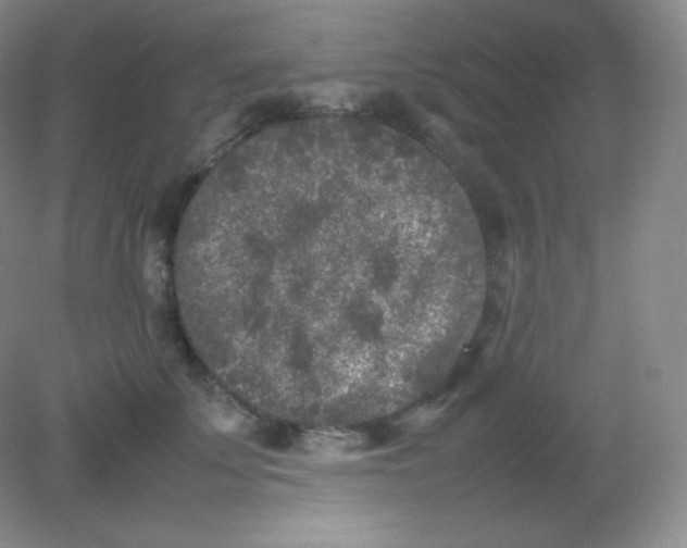 X0000082170707200702021727