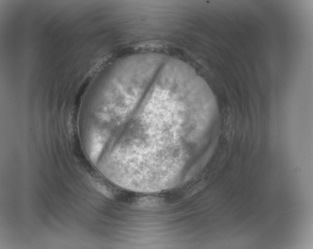 X0000082170708200702021727