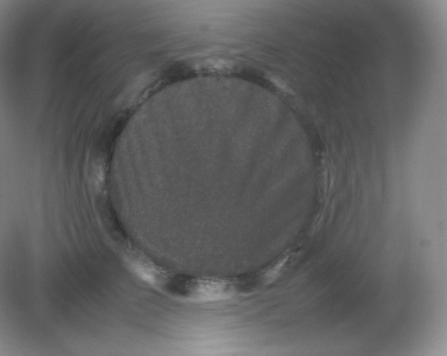 X0000082170709200702021727