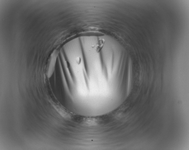 X0000082170710200702021727