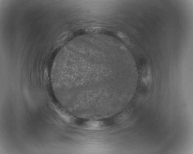 X0000082170711200702021727