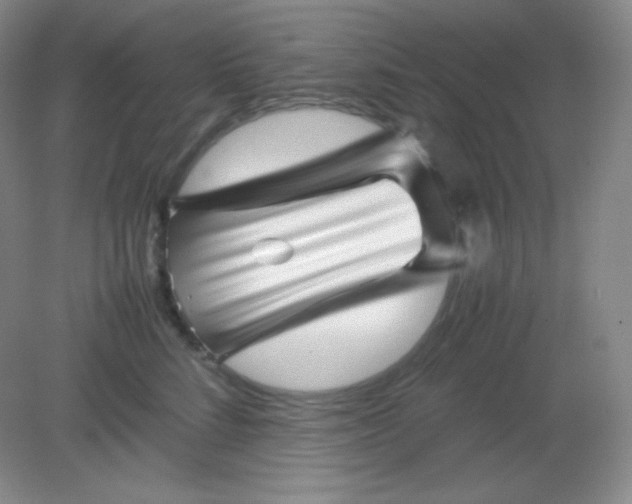 X0000082170712200702021727