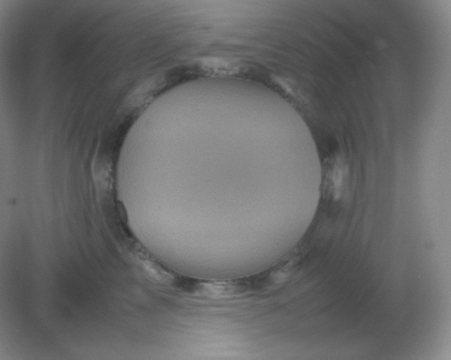 X0000082170713200702021727