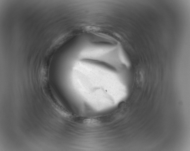 X0000082170714200702021727