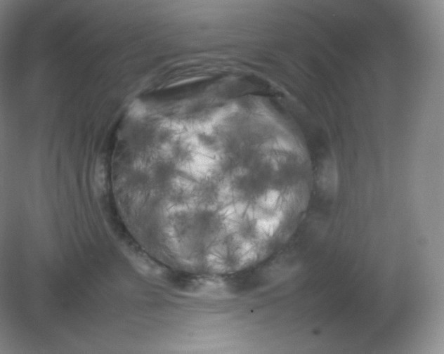 X0000082170715200702021726