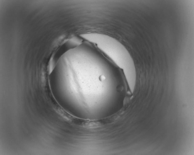 X0000082170716200702021726