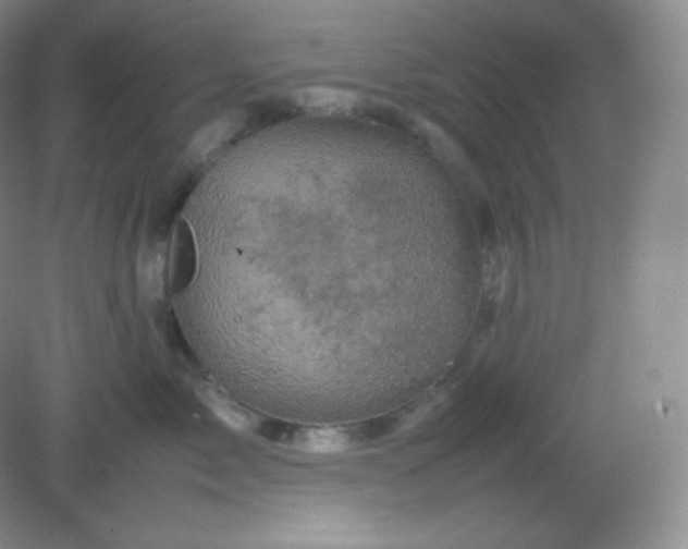 X0000082170717200702021726