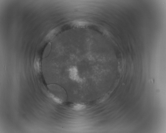 X0000082170718200702021726