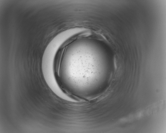 X0000082170720200702021726