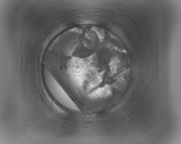 X0000082170721200702021726