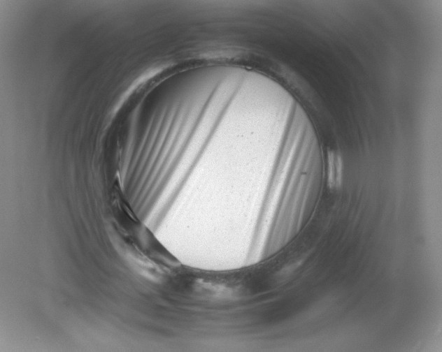 X0000082170723200702021726