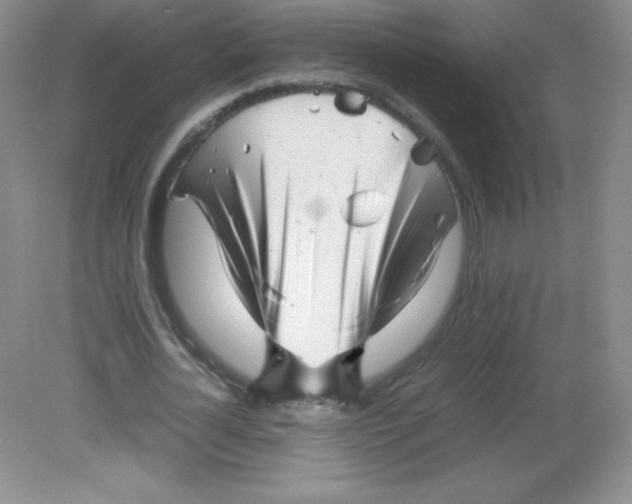 X0000082170724200702021726