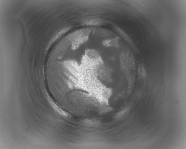 X0000082170725200702021726