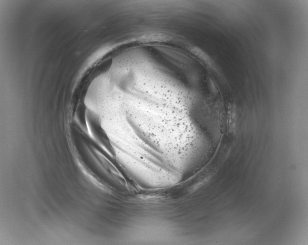 X0000082170726200702021726