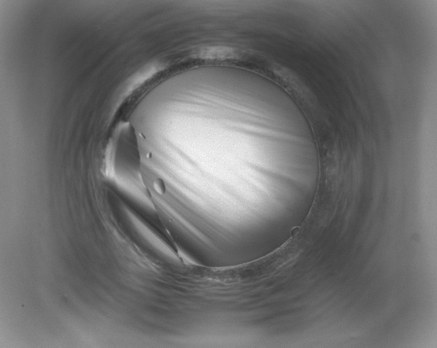 X0000082170727200702021726