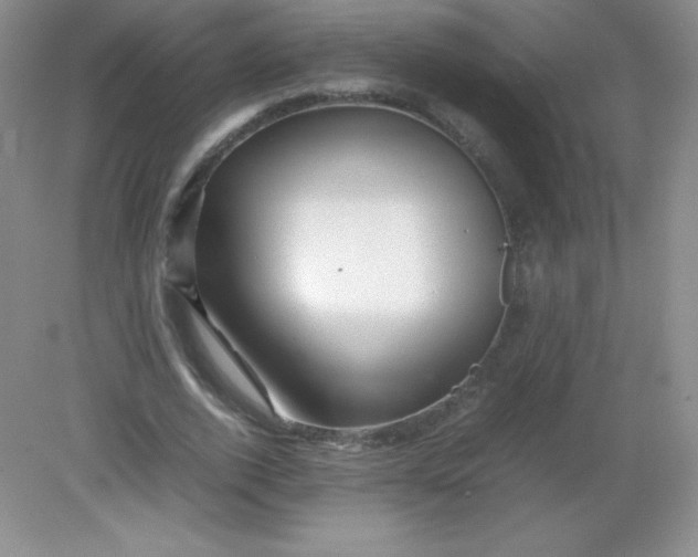 X0000082170728200702021726