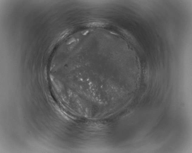 X0000082170729200702021726