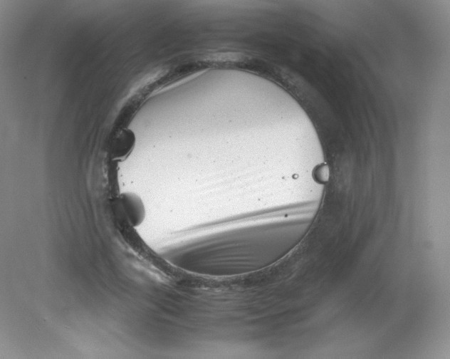 X0000082170731200702021726