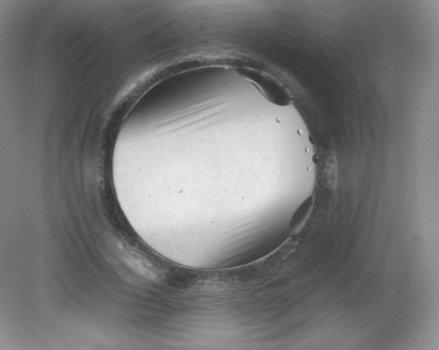 X0000082170732200702021726