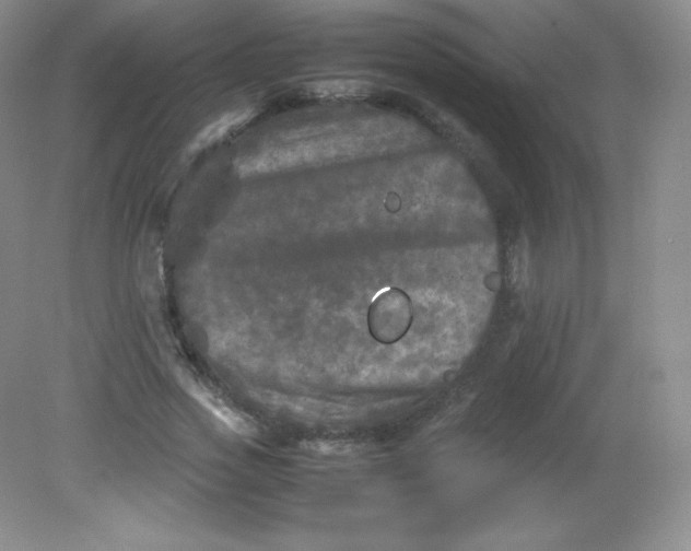 X0000082170733200702021726