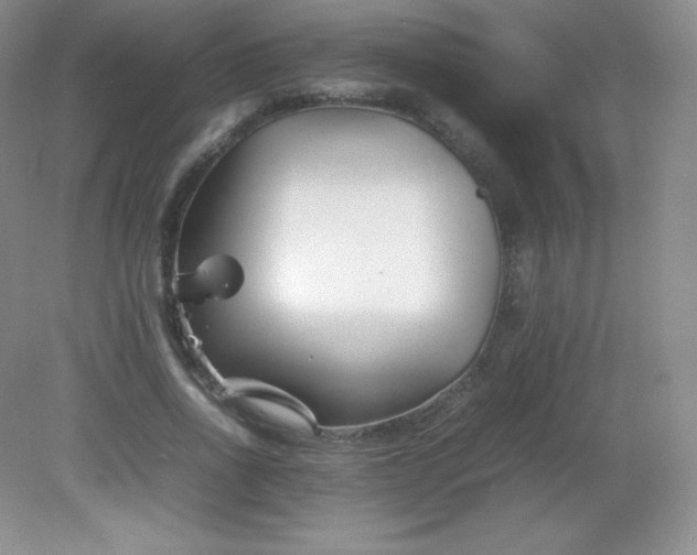 X0000082170734200702021726