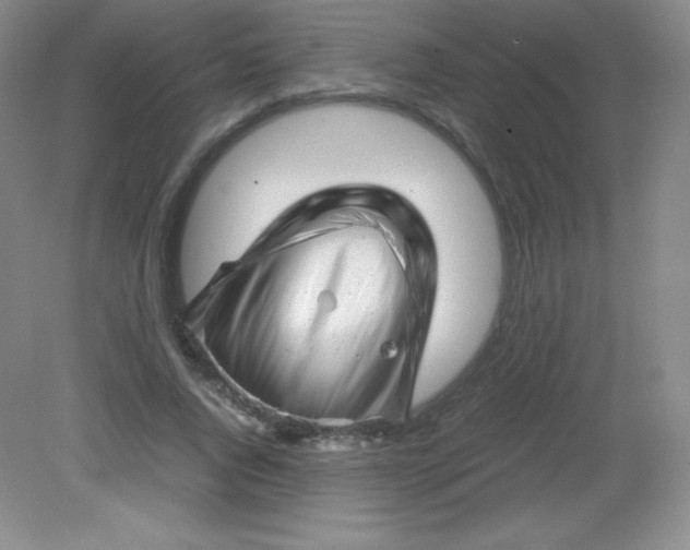 X0000082170736200702021726