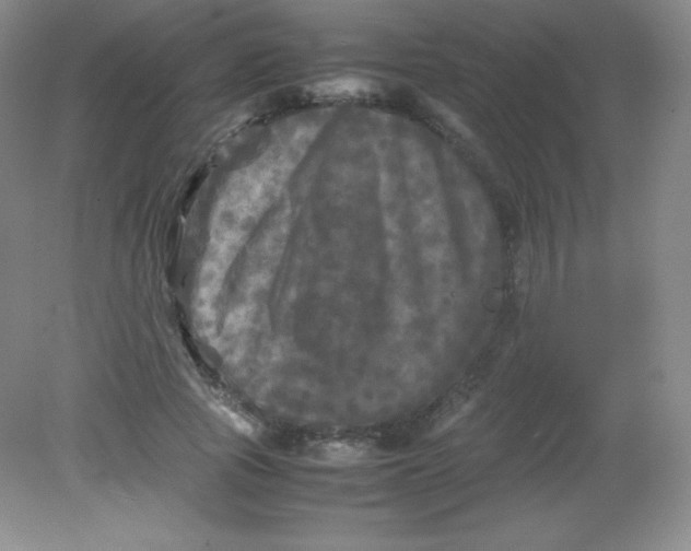 X0000082170737200702021726