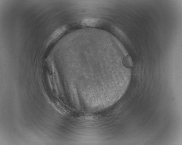 X0000082170738200702021726