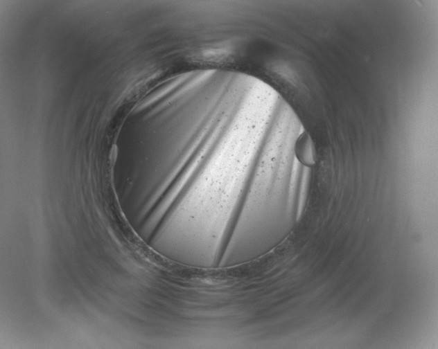 X0000082170739200702021726