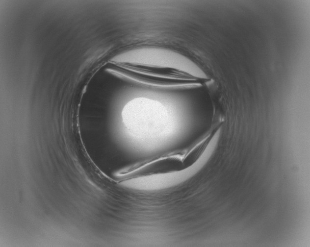 X0000082170740200702021726