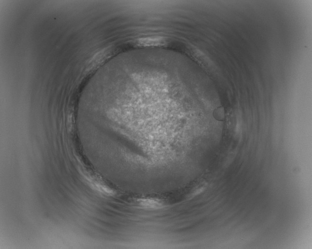 X0000082170741200702021726