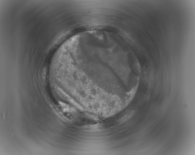 X0000082170742200702021726