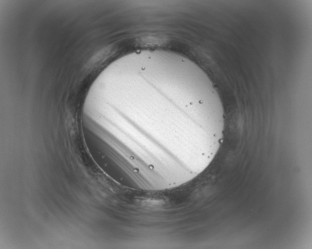 X0000082170743200702021726