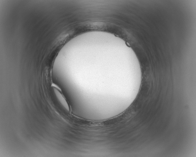 X0000082170744200702021726