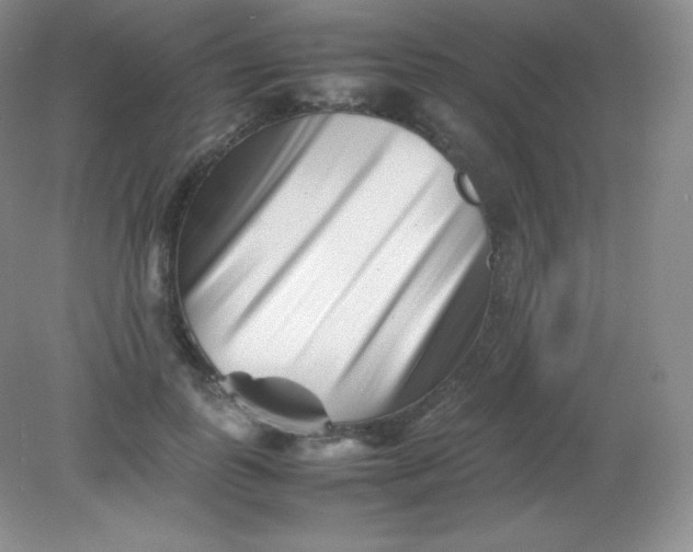 X0000082170747200702021726