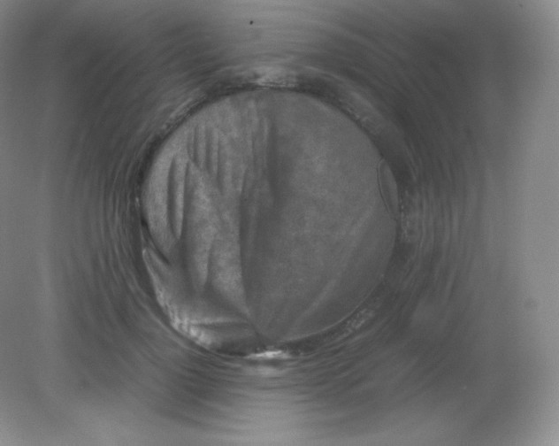 X0000082170748200702021726