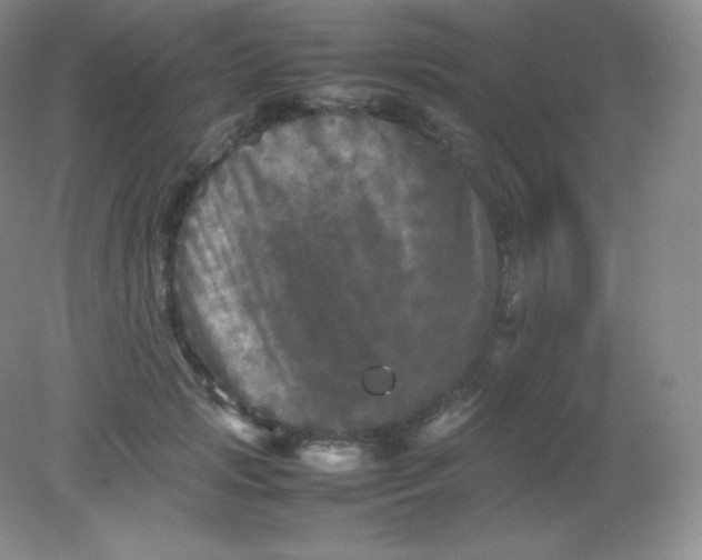 X0000082170749200702021726