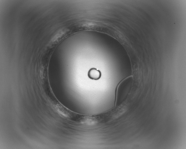 X0000082170750200702021726