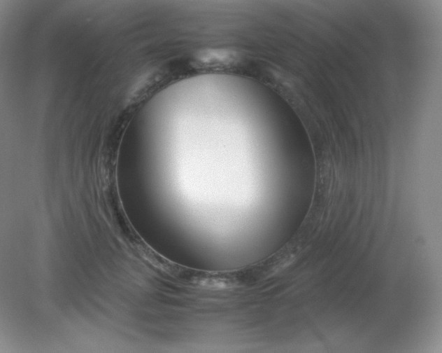 X0000082170751200702021726