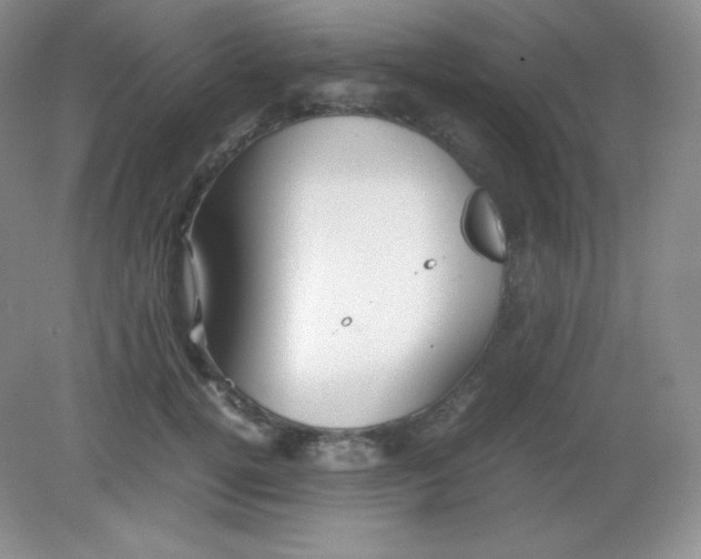 X0000082170752200702021726