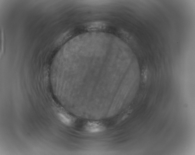 X0000082170753200702021726