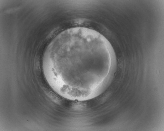 X0000082170754200702021726